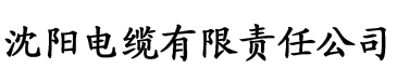 啊～不要电缆厂logo